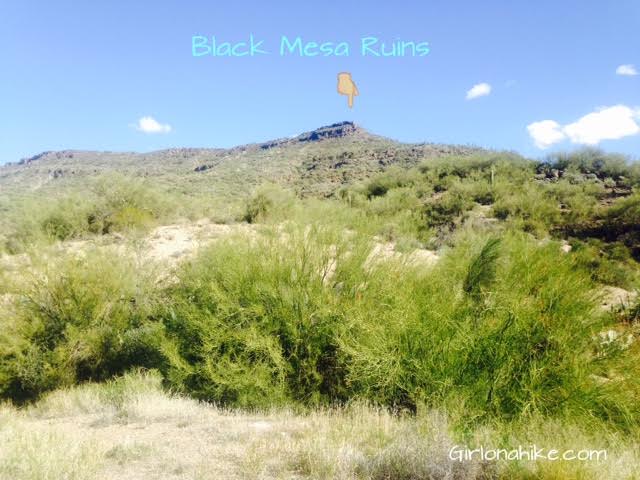 Black Mesa Indian Ruins