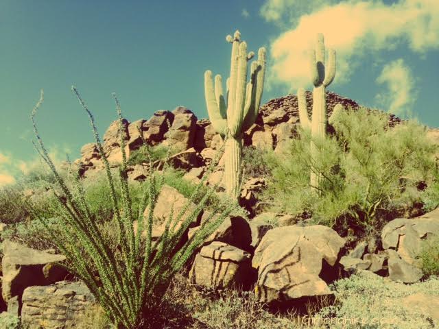 Black Mesa Indian Ruins