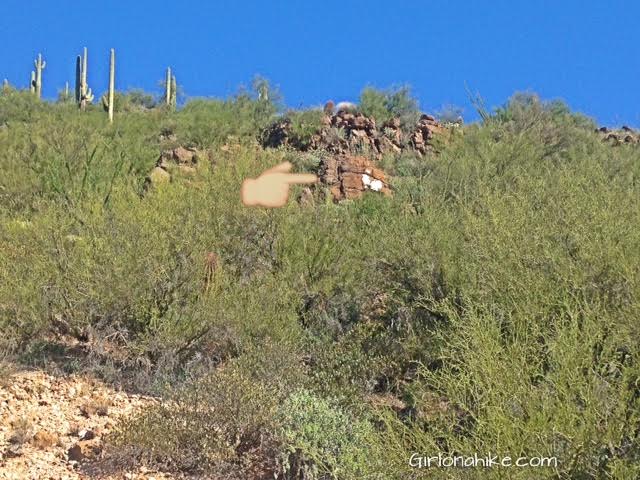 Black Mesa Indian Ruins