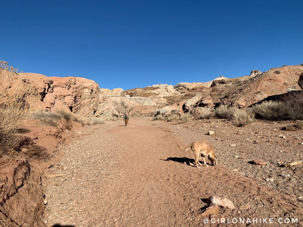 Hiking the Little Wild Horse & Bell Canyon Loop