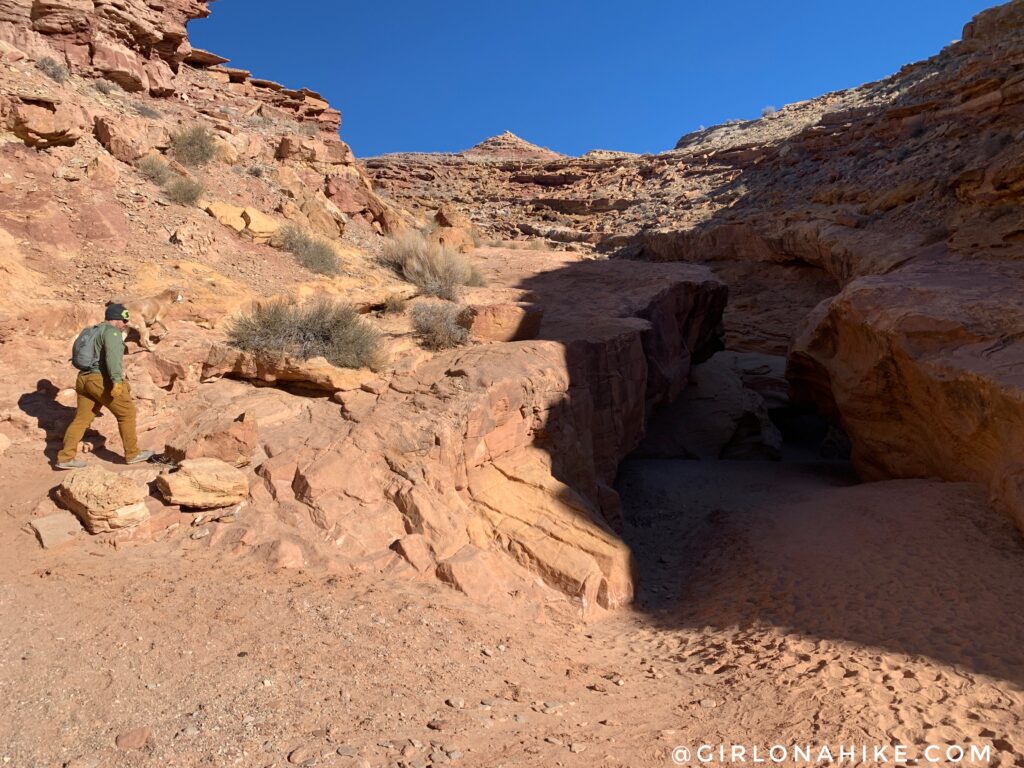 Hiking the Little Wild Horse & Bell Canyon Loop