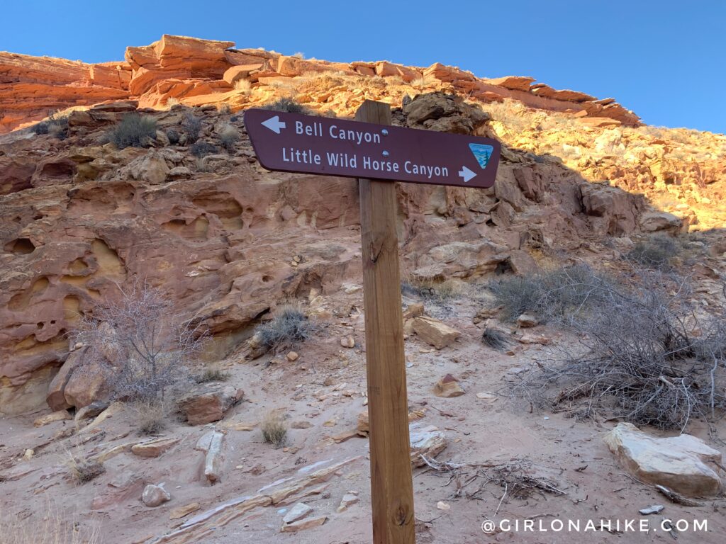 Hiking the Little Wild Horse & Bell Canyon Loop