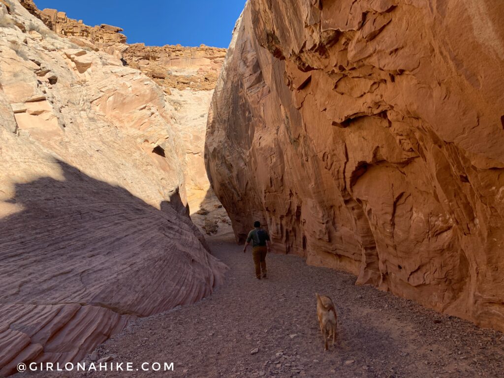 Hiking the Little Wild Horse & Bell Canyon Loop