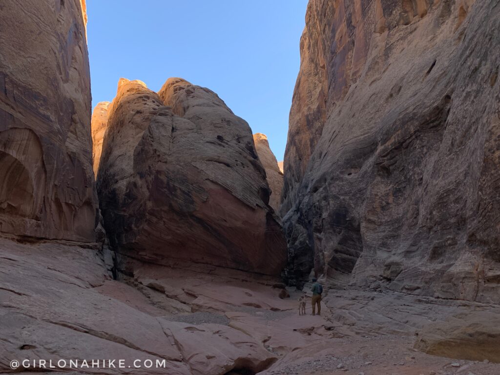 Hiking the Little Wild Horse & Bell Canyon Loop