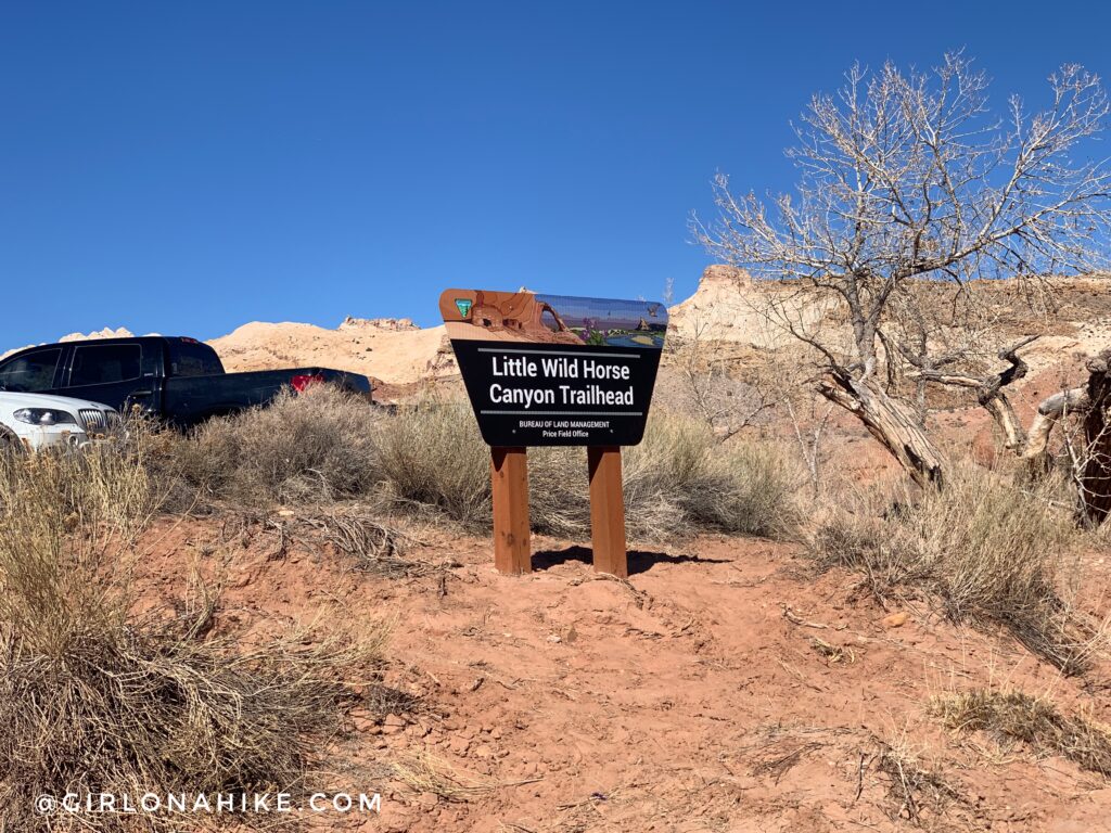 Hiking the Little Wild Horse & Bell Canyon Loop