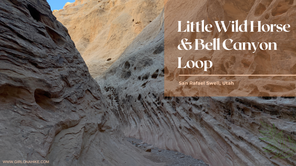 Hiking the Little Wild Horse & Bell Canyon Loop