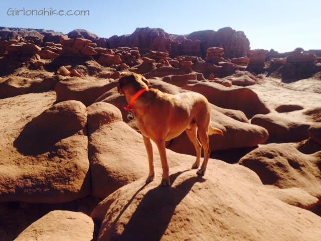 Goblin Valley State Park