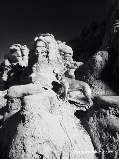 Goblin Valley State Park