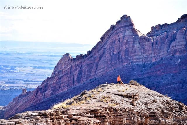 Spotted Wolf Canyon overlook