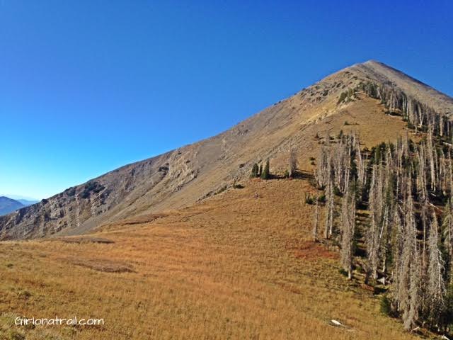 Hiking to Mt. Nebo, Tallest Peak in the Wasatch, Utah