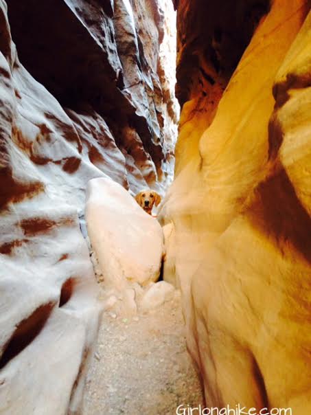 Hiking Little Wild Horse Canyon, Utah