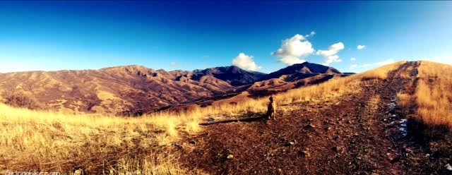 Hiking to Little Black Mountain, Utah, Hiking in Utah with Dogs