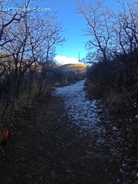 Hiking to Little Black Mountain, Utah, Hiking in Utah with Dogs