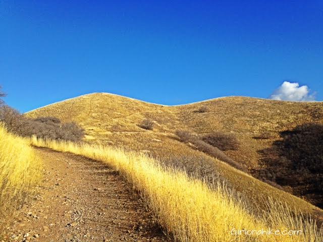 Hiking to Little Black Mountain, Utah, Hiking in Utah with Dogs