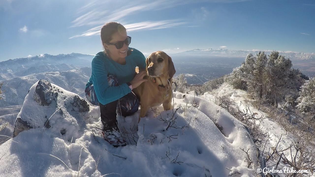 Hiking to Little Black Mountain, Utah, Hiking in Utah with Dogs