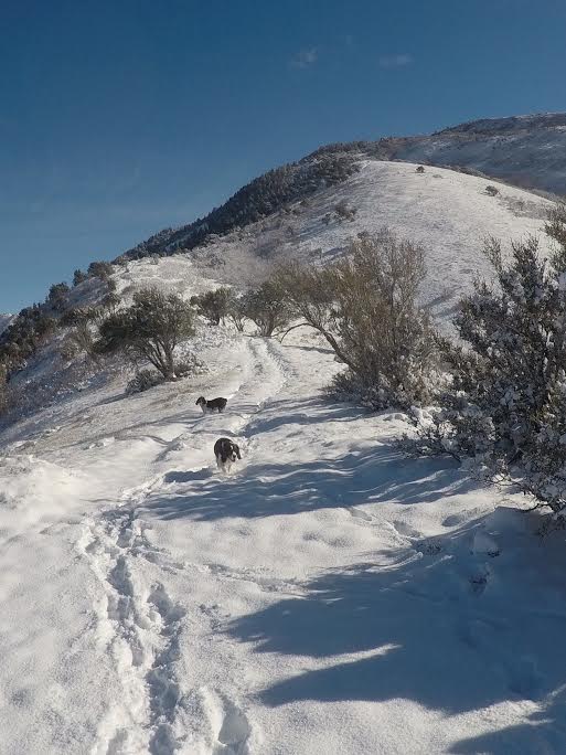 Hiking to Little Black Mountain