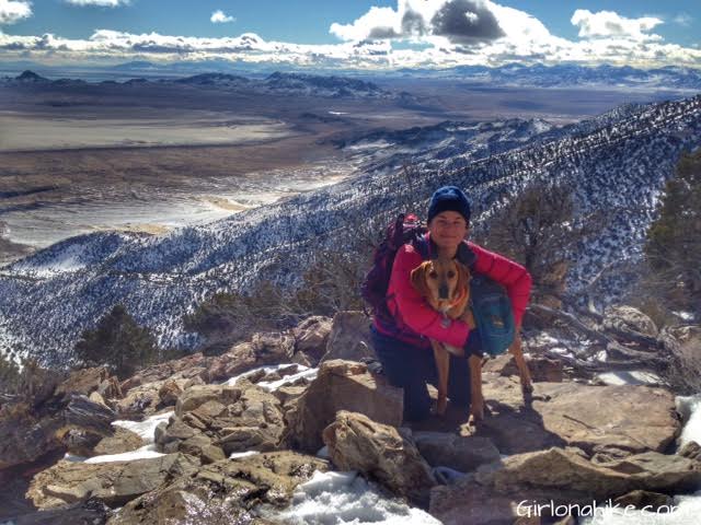 Pilot Peak, Pilot Peak hiking guide, Nevada Peaks