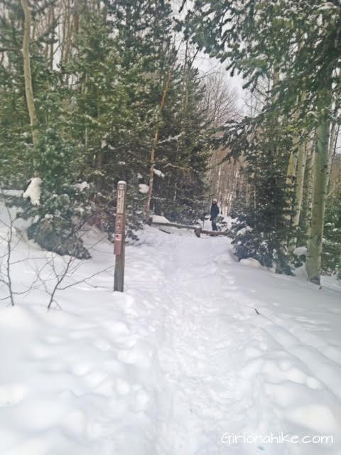 The Norway Flats Yurt, TUNA Yurt, Yurts of Utah