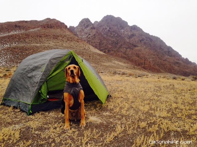 Volanco Peak, Silver Island Mountains