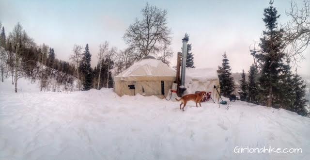 The Norway Flats Yurt, TUNA Yurt, Yurts of Utah