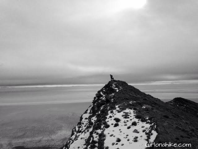 Tetzlaff Peak, Tetzlaff Peak hiking guide, Silver Island Mountains, Hiking in Utah with Dogs