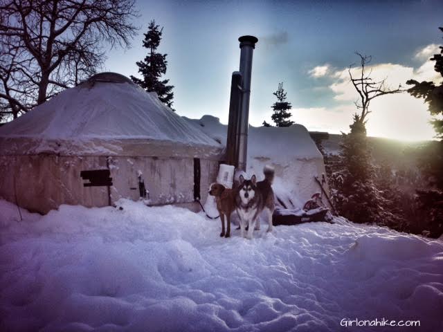 The Norway Flats Yurt, TUNA Yurt, Yurts of Utah