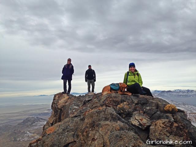 Tetzlaff Peak, Tetzlaff Peak hiking guide, Silver Island Mountains, Hiking in Utah with Dogs