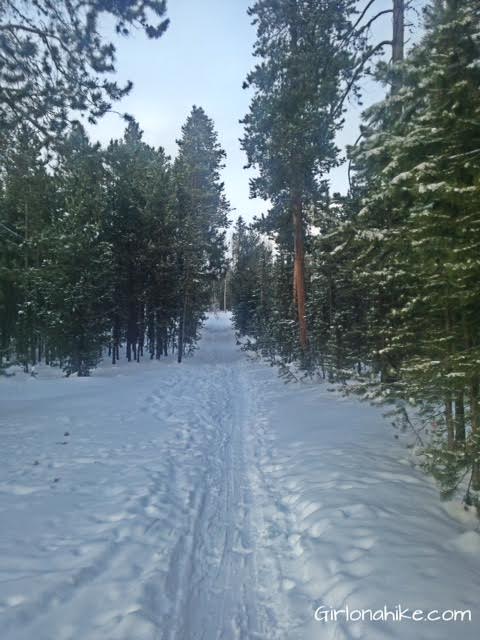 The Norway Flats Yurt trail, TUNA Yurt, Yurts of Utah