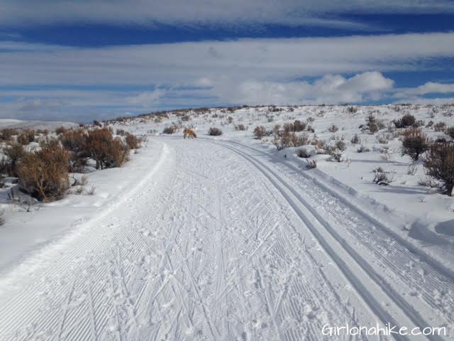 Round Valley ski area, Round Valley Park City, cross country skiing in Utah