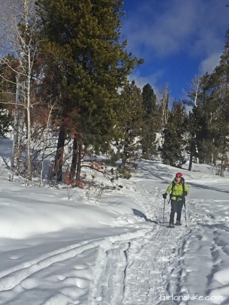 The Norway Flats Yurt, TUNA Yurt, Yurts of Utah