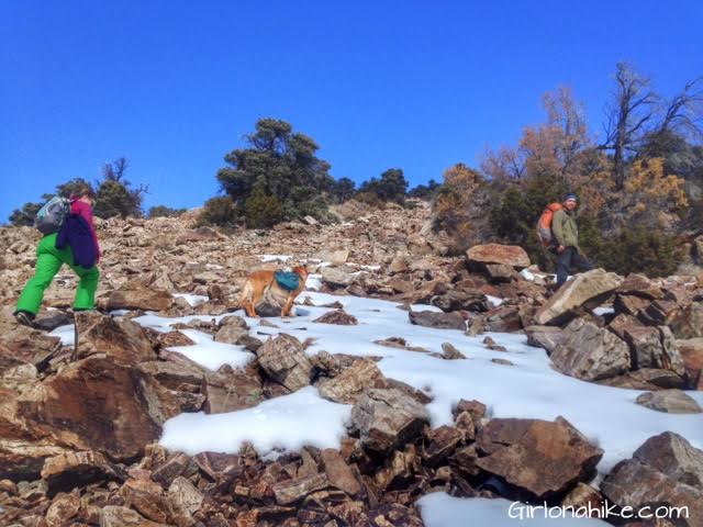 Pilot Peak, Pilot Peak hiking guide, Nevada Peaks