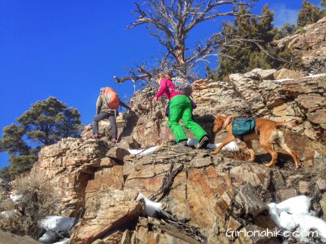 Pilot Peak, Pilot Peak hiking guide, Nevada Peaks