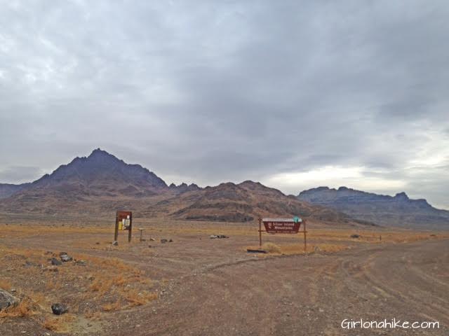 Tetzlaff Peak, Tetzlaff Peak hiking guide, Silver Island Mountains, Hiking in Utah with Dogs