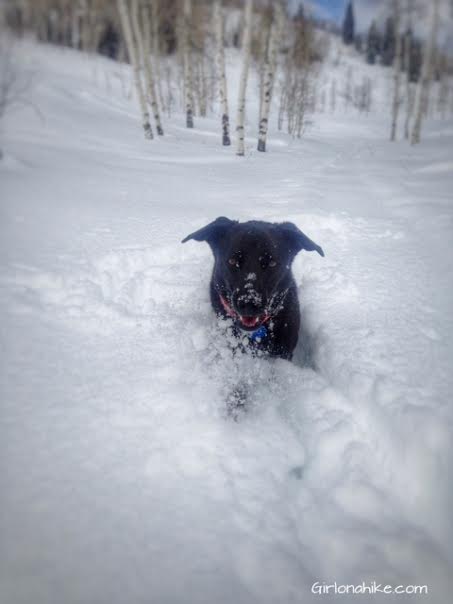 The Norway Flats Yurt, TUNA Yurt, Yurts of Utah, snowshoeing at a yurt