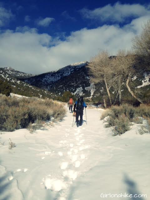 Pilot Peak, Pilot Peak hiking guide, Nevada Peaks