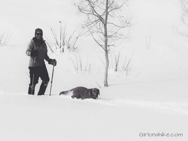 The Norway Flats Yurt, TUNA Yurt, Yurts of Utah, snowshoeing at a yurt