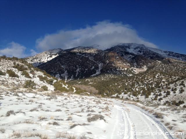 Pilot Peak, Pilot Peak hiking guide, Nevada Peaks