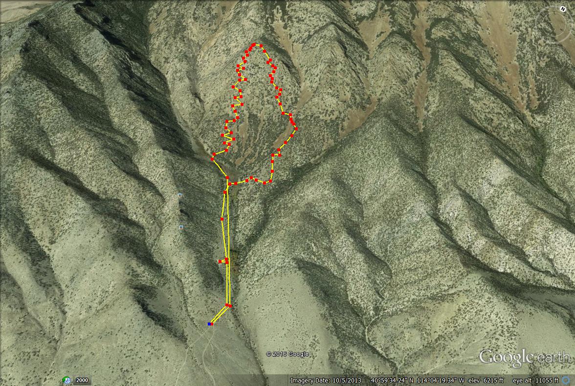 Pilot Peak, Pilot Peak hiking guide, Pilot Peak map