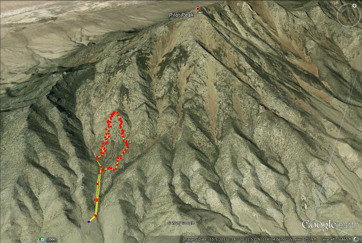 Pilot Peak, Pilot Peak hiking guide, Pilot Peak map