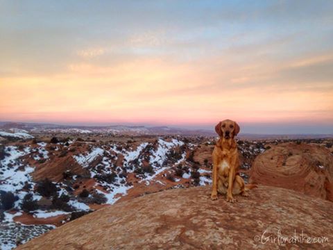 Sand Flats Recreation Area, Camping with dogs in Moab