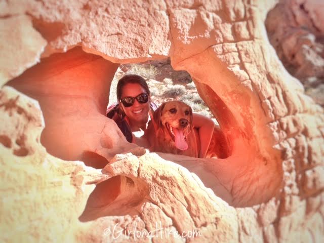 Valley of Fire State Park, Nevada State Parks, Elephant Rock