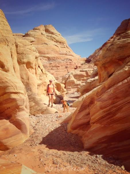 Valley of Fire State Park, Nevada State Parks, Prospect Trail