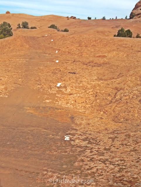 Slickrock Trail Guide, Slickrock Trail Maps, Slickrock Moab, Sand Flats Recreation Area, Hiking in Utah with Dogs