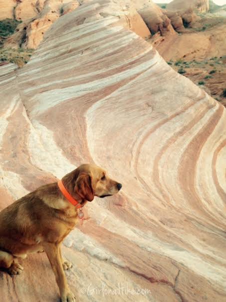 Valley of Fire State Park, Nevada State Parks, The Fire Wave