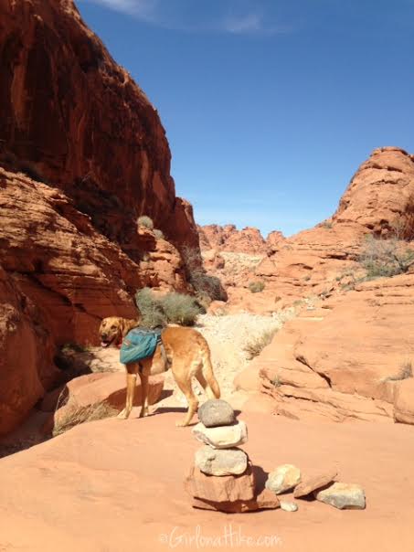 Valley of Fire State Park, Nevada State Parks, Prospect Trail