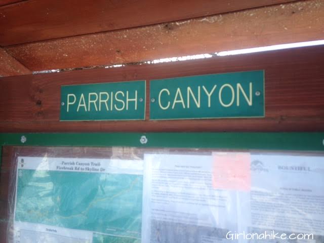 Parrish Canyon Trail, Parrish Creek Trail, Hiking in Utah with Dogs