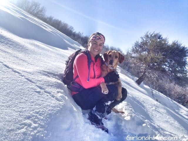 Parrish Canyon Trail, Parrish Creek Trail, Hiking in Utah with Dogs