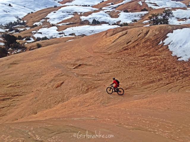 Slickrock Trail Guide, Slickrock Trail Maps, Slickrock Moab, Sand Flats Recreation Area, Hiking in Utah with Dogs