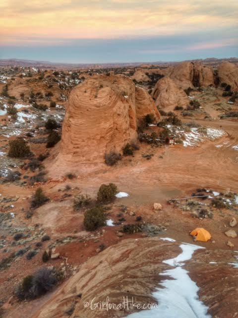 Sand Flats Recreation Area, Camping with dogs in Moab