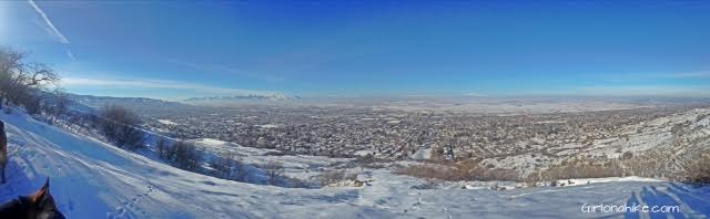 Parrish Canyon Trail, Parrish Creek Trail, Hiking in Utah with Dogs